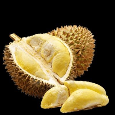[Xanh Cao Nguyen] Durian from 베트남 supplied by TECHCOOP - 골드 푸얏 신선 두리안