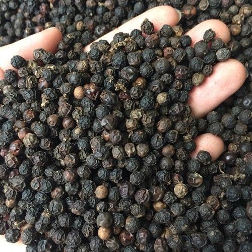 BLACK PEPPER 500GL FAQ from 베트남 supplied by VietGlobal Export - 흑후추 열매