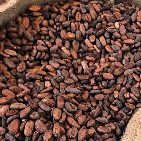 Cocoa Bean from 나이지리아 supplied by BoonCare Foods Investment Limited - 코코아콩