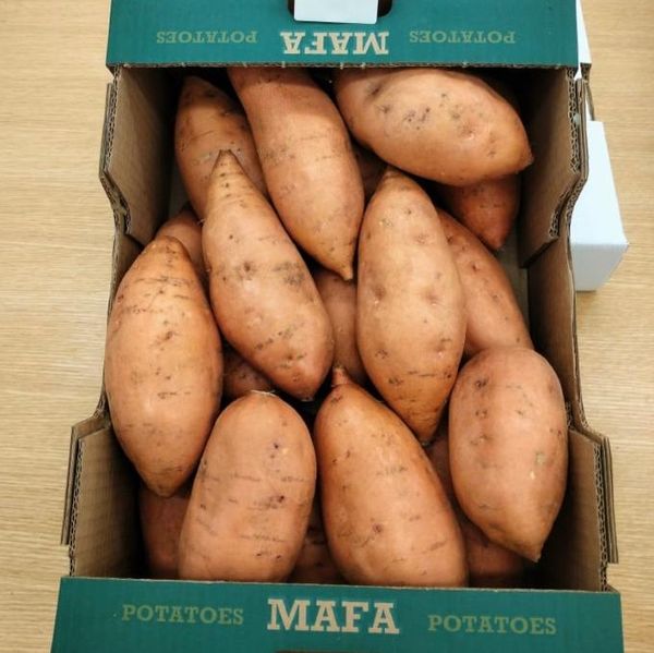 sweet potato from 이집트 supplied by Kodra-Export - Brushed 고구마