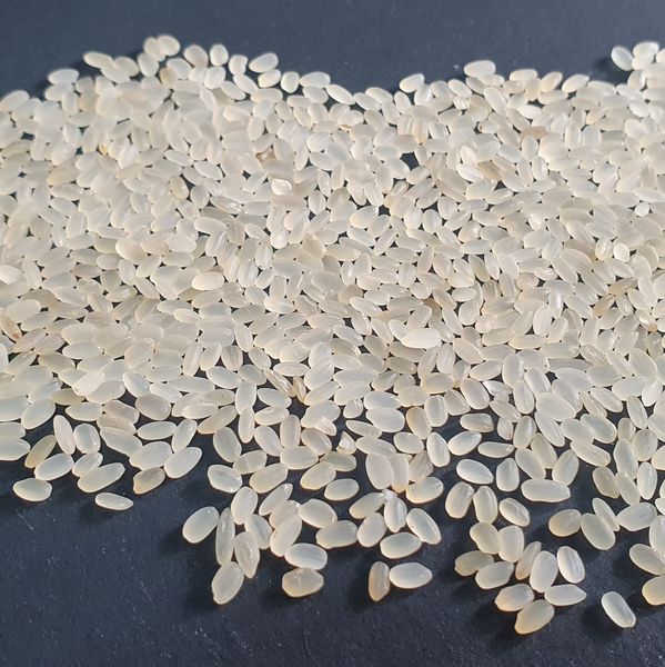 Double Boiled Rice from India supplied by Ganpath Exim - Rice