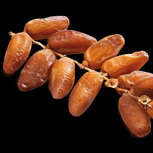 Branched deglet nour date from 튀니지 supplied by azaiez dattes - 슈프림 신선 대추야자