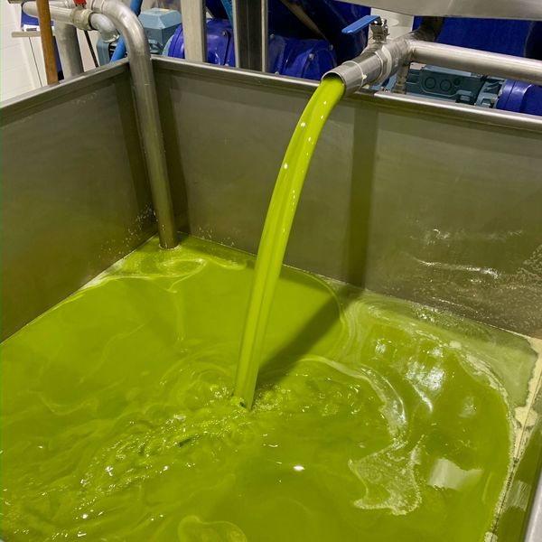 Olive Oil from 그리스 supplied by Blu Kouzina - Acidity Rate: ≤2% (=Up to 2%) 올리브유