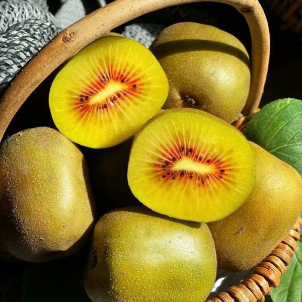 Red-fleshed Kiwi from China supplied by Mayang Blue Phoenix Agricultural Development Co., Ltd. - 90-100 g Fresh Kiwifruit