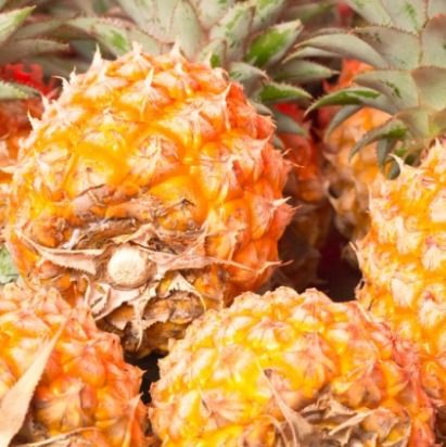 Pineapple from 코트디부아르 supplied by DK COMMODITY - 세척됨, 판지상자에 포장됨 신선 파인애플