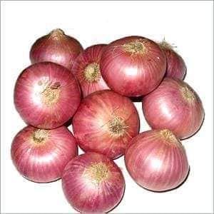 Pakistan Onion from Pakistan supplied by AAR TRADERS - 35-55mm Fresh Onion