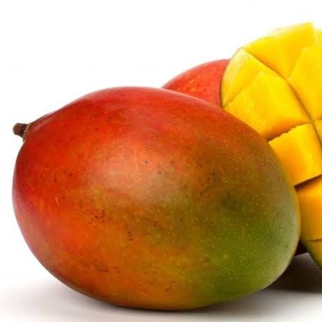 Mango from Egypt supplied by Harvest Hub - High Quality Fresh Mango