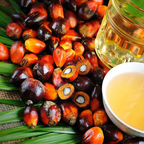 RBD Palm Oil from 말레이시아 supplied by ZetaSwift - RBD (=Refined, Bleached, and Deodorized) RBD 팜유