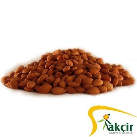 Apricot Kernels (Sortex) - 1st Quality from 튀르키예 supplied by AKÇIR - Size: 22-24 아몬드 알맹이