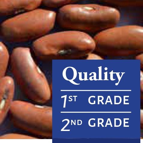 Light Red Kidney Beans from 아르헨티나 supplied by QUELLE TRADE, import export d.o.o - 단팥