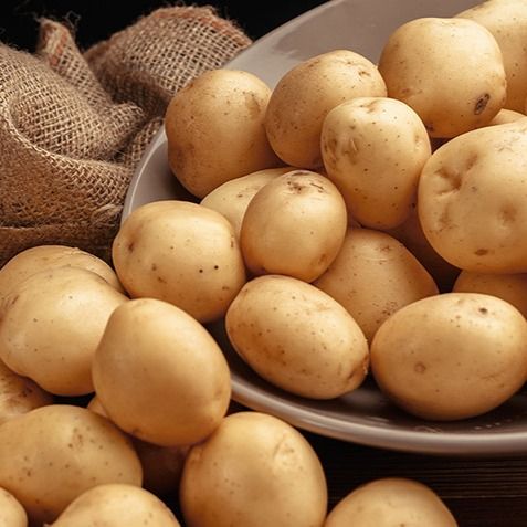 Potato - Angreen from 베트남 supplied by ANGREEN CORPORATION (Angreen Joint Stock Company) - Red Skin 신선 일반 감자