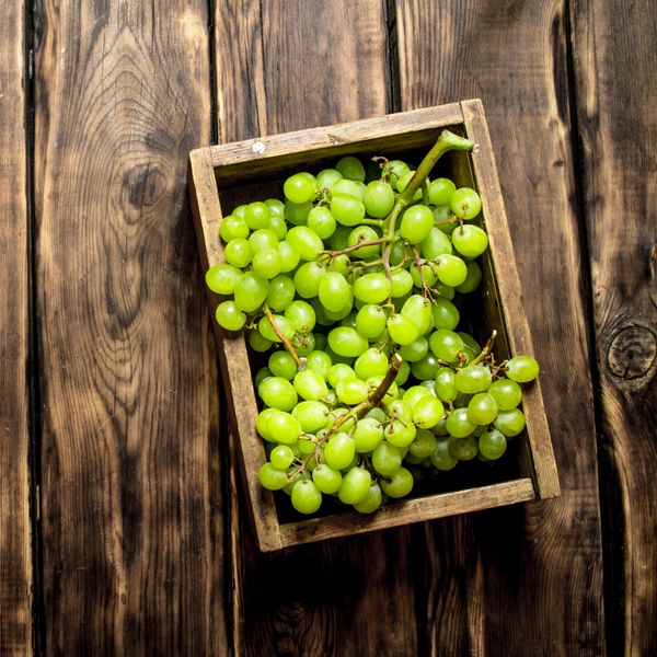 Fresh Grape from 이집트 supplied by AMG FUTURE - 크기: 엑스트라 라지 & 더블 엑스트라 라지 신선 포도