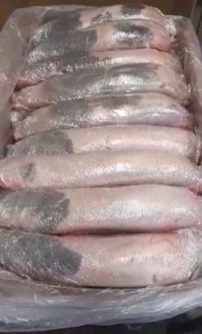 Beef Tongue from 브라질 supplied by Zeal International Limited - Frozen 기타 냉동 소고기 부위