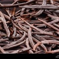 VANILLA PLANIFOLIA / TAHITENSIS from Indonesia supplied by PT Radean Exim Pratama - 18-22cm Vanilla