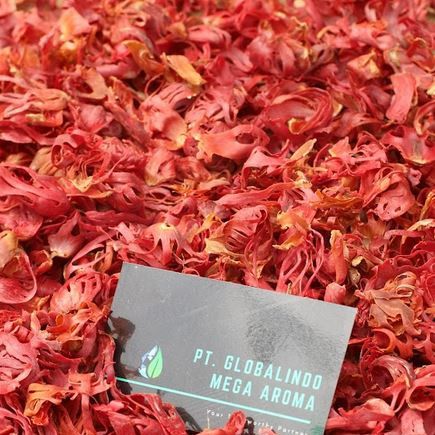 Mace from 인도네시아 supplied by Globalindo Mega Aroma - Medium Quality 통메이스