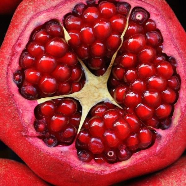 Pomegranate from India supplied by Frugies Box Vegetables & Fruits Trading Co. LLC - Red Flesh Fresh Pomegranate