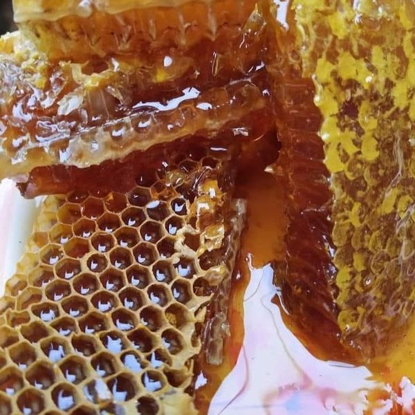 Honey from 과테말라 supplied by Valsugana - Light 꿀