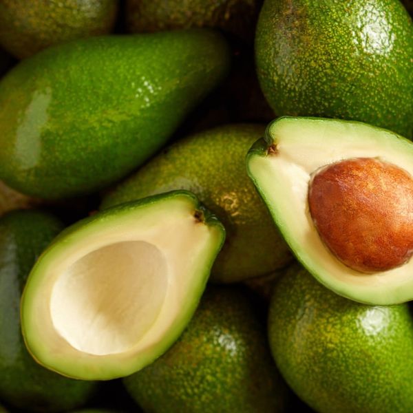 Fresh Avocado from 인도네시아 supplied by PT Naganegara Alam Nusa - Frozen - BQF (=Block Quick Freezing) 신선 아보카도