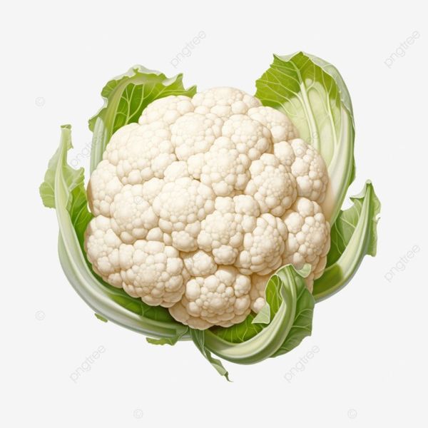 cauliflower from Egypt supplied by ALDBERKY TREADING - Fresh Cauliflower