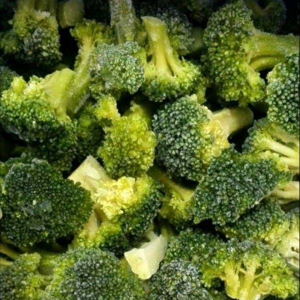Broccoli from 이집트 supplied by mubarakagricom - 냉동 냉동 브로콜리