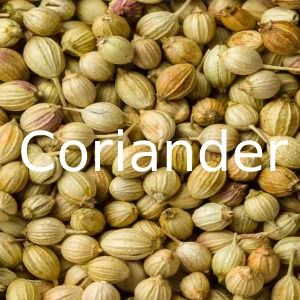 Coriander Seeds from 이집트 supplied by Osiris Herbs Co. - Machine Cleaned 고수 씨(홀)