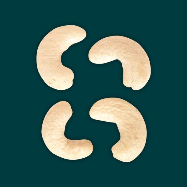 Cashew Kernels W210 from 베트남 supplied by Imiri Soma - 50lb 진공 팩 캐슈너트 알맹이