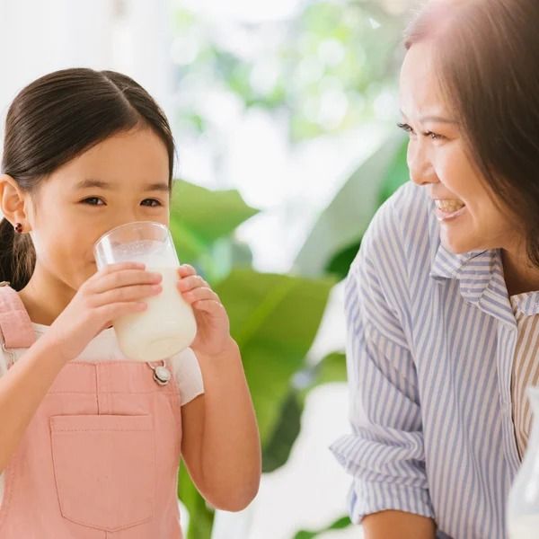 Full Cream Milk Powder from Netherlands supplied by Neshes Global - 25 kg Milk powder