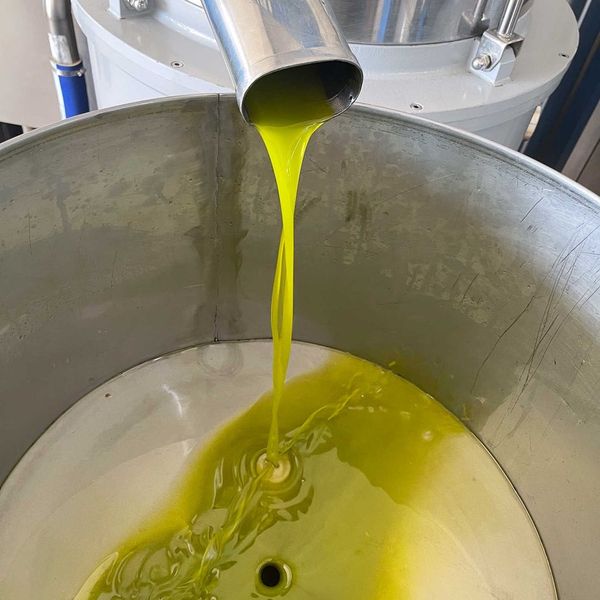 Extra Virgin Olive Oil from Greece supplied by Cosmo Exports - Acidity Rate 0.8% Olive Oil
