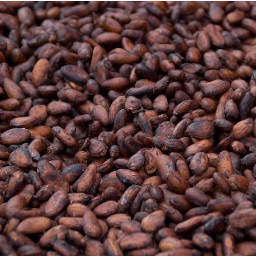 Cacao beans CCN51, Cacao powder, Cacao butter, Cacao mucilage, Cacao mucilage Honey from 에콰도르 supplied by Hexxan - Hybrid 코코아콩