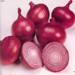Red Onions / Golden Onions from Egypt supplied by Lieferanto for Trading and Import&Export - Size: 55-75 mm Fresh Onion