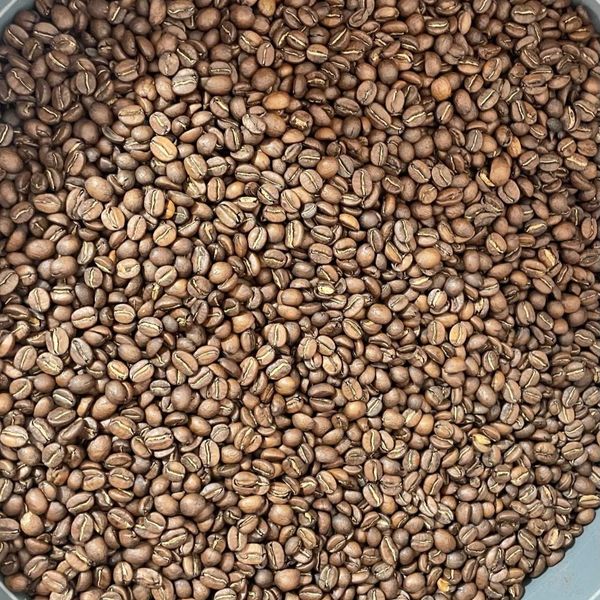 Coffee Bean - Arabica coffee from Colombia supplied by Natural Elite Connections S.A.S - Brown Roasted Coffee Beans