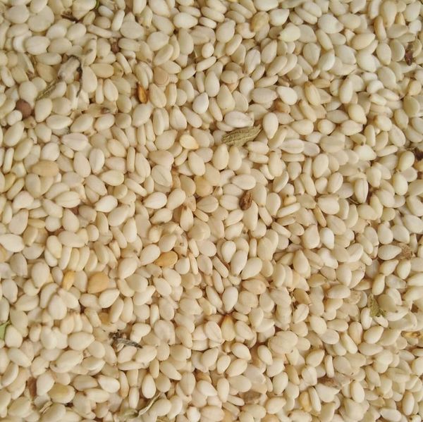 Sesame Seed - Sudan from 수단 supplied by Linklab ltd - 생 참깨