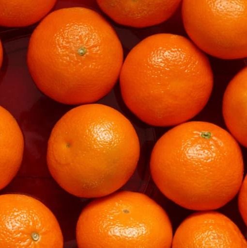 orange valancia from 이집트 supplied by al kasper - 발렌시아 프로스트 신선 오렌지