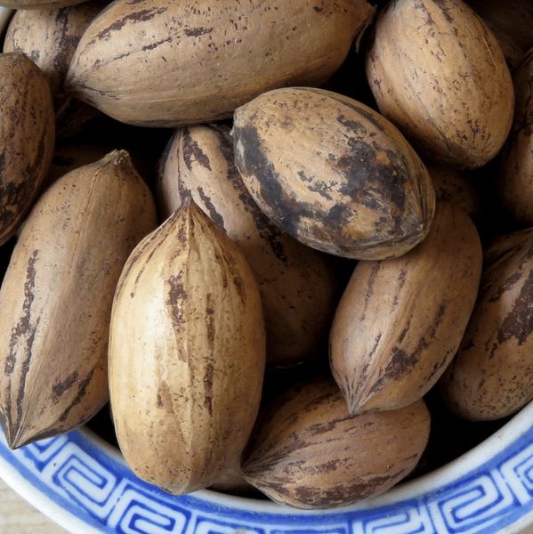 Wichita Pecan Nut from 멕시코 supplied by Maakov - 신선 피칸