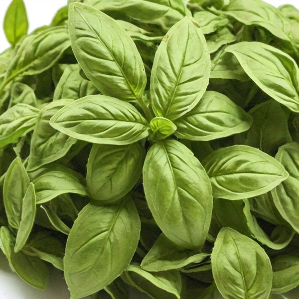 Basil Leaves from 이집트 supplied by Qytra for dried Herbs Ltd. - Multi Wrapped (=MW) 바질