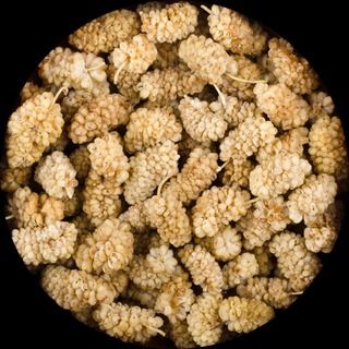 Organic dried mulberries from 튀르키예 supplied by Origin & Amsterdam - Dried 말린 오디