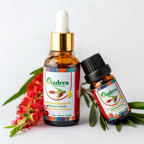 Bottlebrush essential oil from Uganda supplied by Aadrea Essential Oils SMC Ltd - Other Products