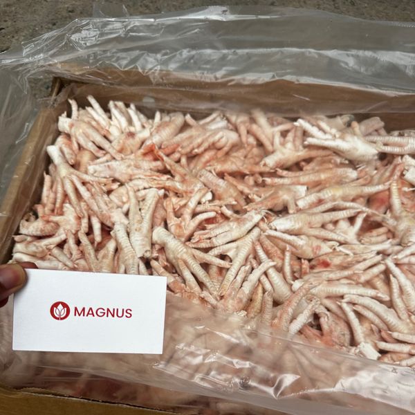 Chicken Paw from 미국 supplied by Magnus Trading Limited - Frozen 냉동 닭발