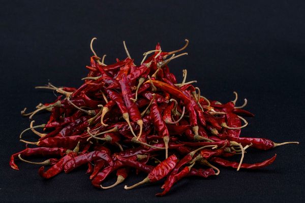Dried Red Chili from 인도 supplied by VARPI INDUSTRIES PVT LTD - 직경 X 말린 통고추
