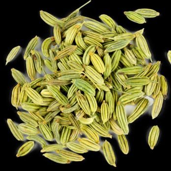 Fennel Seed from Egypt supplied by ElSeba Spices & Herbs - Seed Fennel Seed