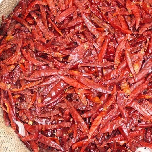 chili red pepper from Ivory Coast supplied by DK COMMODITY - Caliber X Dried Whole Chili Pepper