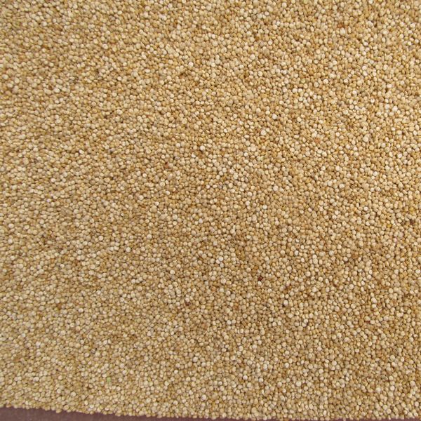 Quinoa from Peru supplied by OrganicCrops - 25 Kg Kraft Heavy Duty Paper Bags Quinoa