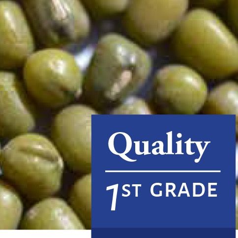 Green Mung Beans from 아르헨티나 supplied by QUELLE TRADE, import export d.o.o - Grated 생두 가공품