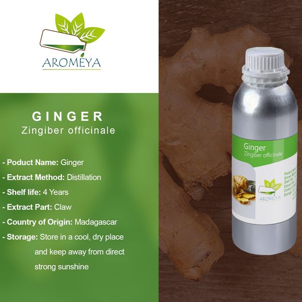 Essential oil of Ginger from 마다가스카르 supplied by Aromeya Company - Excellent Quality 진저 오일