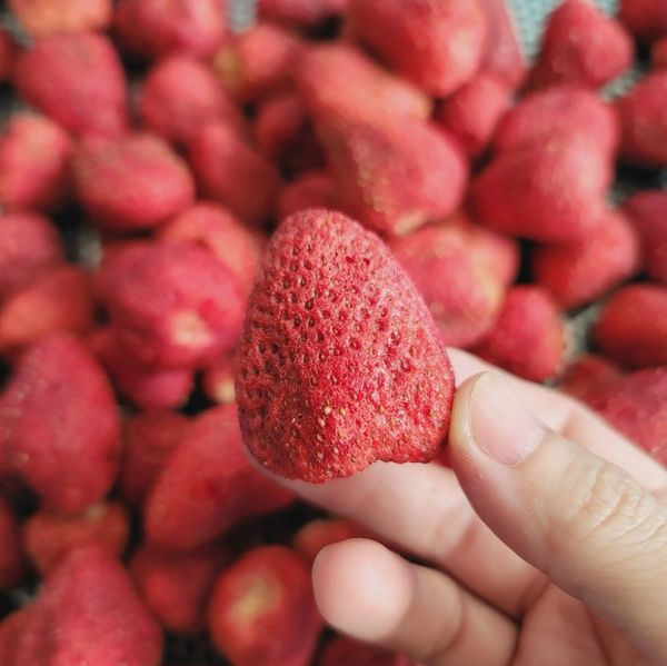 Strawberry Sublimated Dried Natural- Crispy freeze dried strawberry –  grade A( 84-0908861288) from 베트남 supplied by Seiko Jsc - Red 말린 딸기