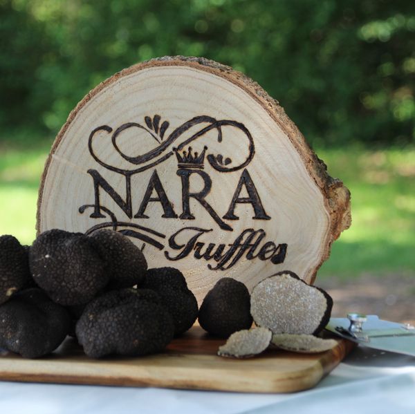 Fresh truffle from 불가리아 supplied by Mitesh LTD - Large 트러플