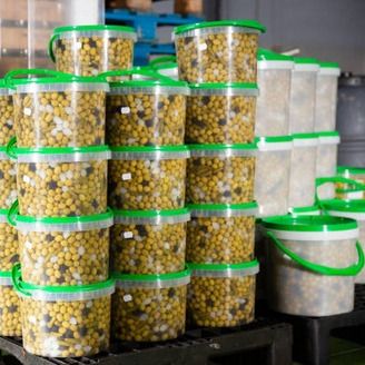 green olive from 이집트 supplied by tamayz for trading and export - Gordal Sevillana 올리브 가공품