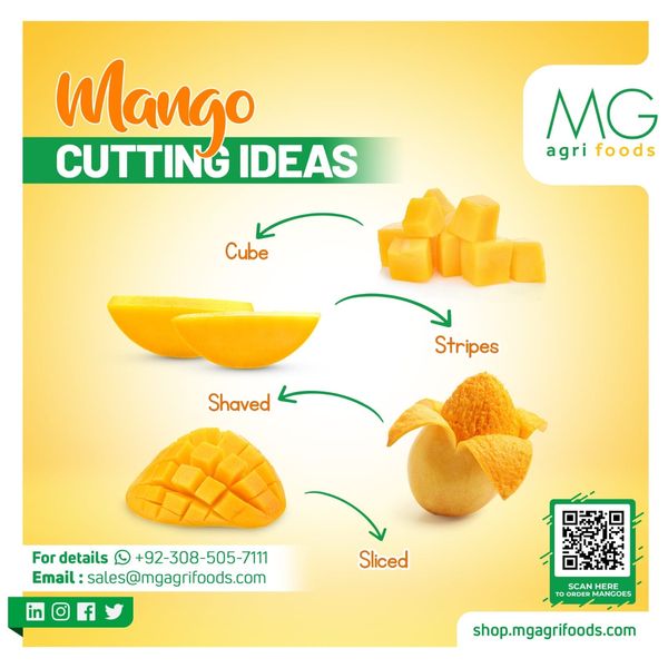 Fresh Fruits and Vegetables from Pakistan supplied by MG AGRI FOODS (PVT) LTD - Hot Water Treatment (HWT) Fresh Mango