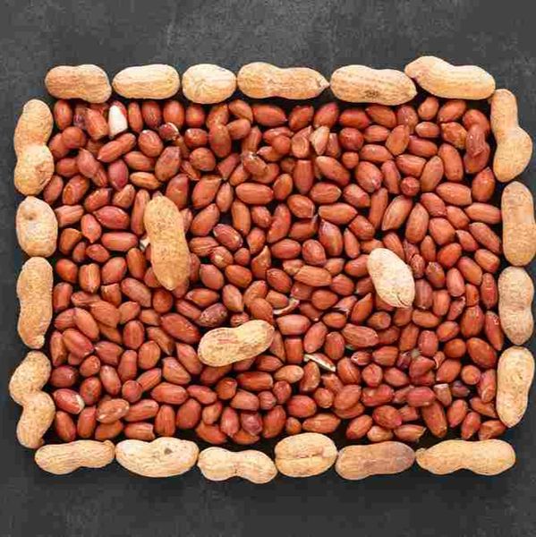 PEANUTS/ GROUNDNUT KERNELS from 인도 supplied by VKS AGROTECH INDUSTRIES - 8-9% 땅콩 알맹이