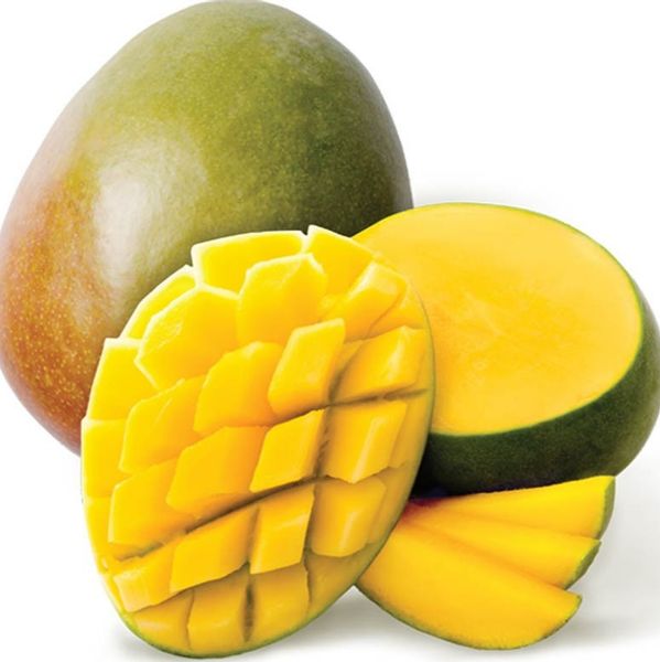 MANGO from Egypt supplied by ALDBERKY TREADING - Fresh Mango